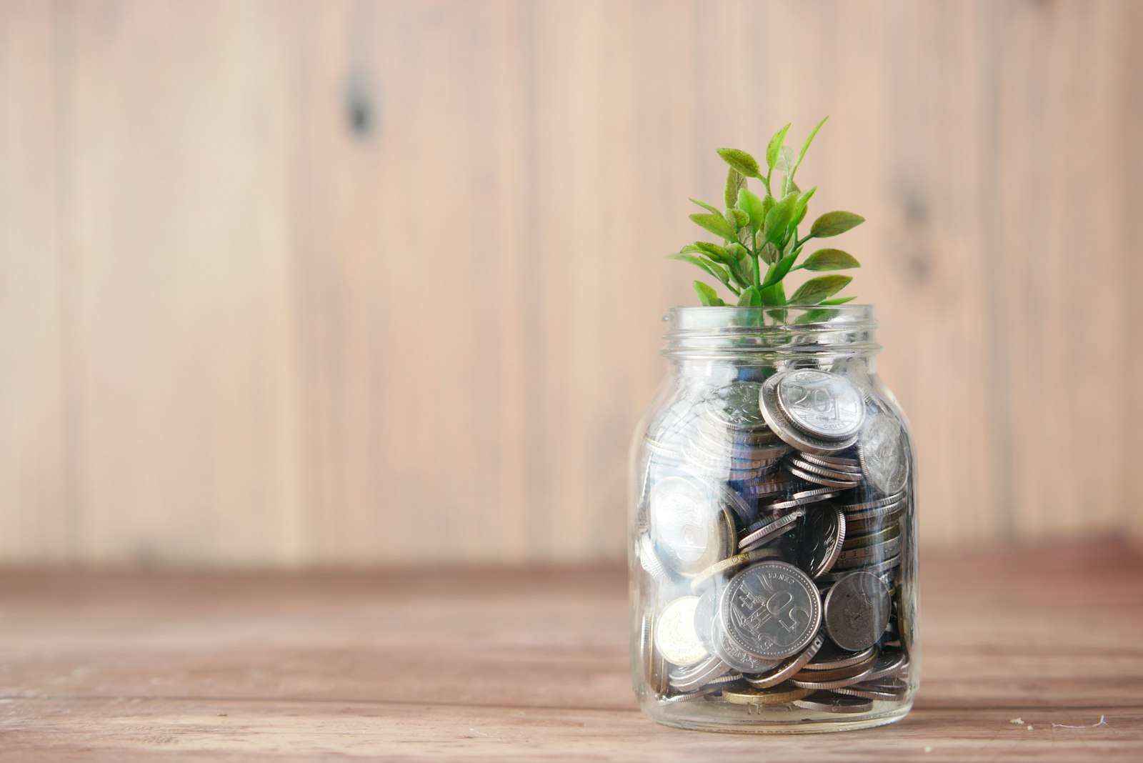 A glass jar filled with coins next to a small plant